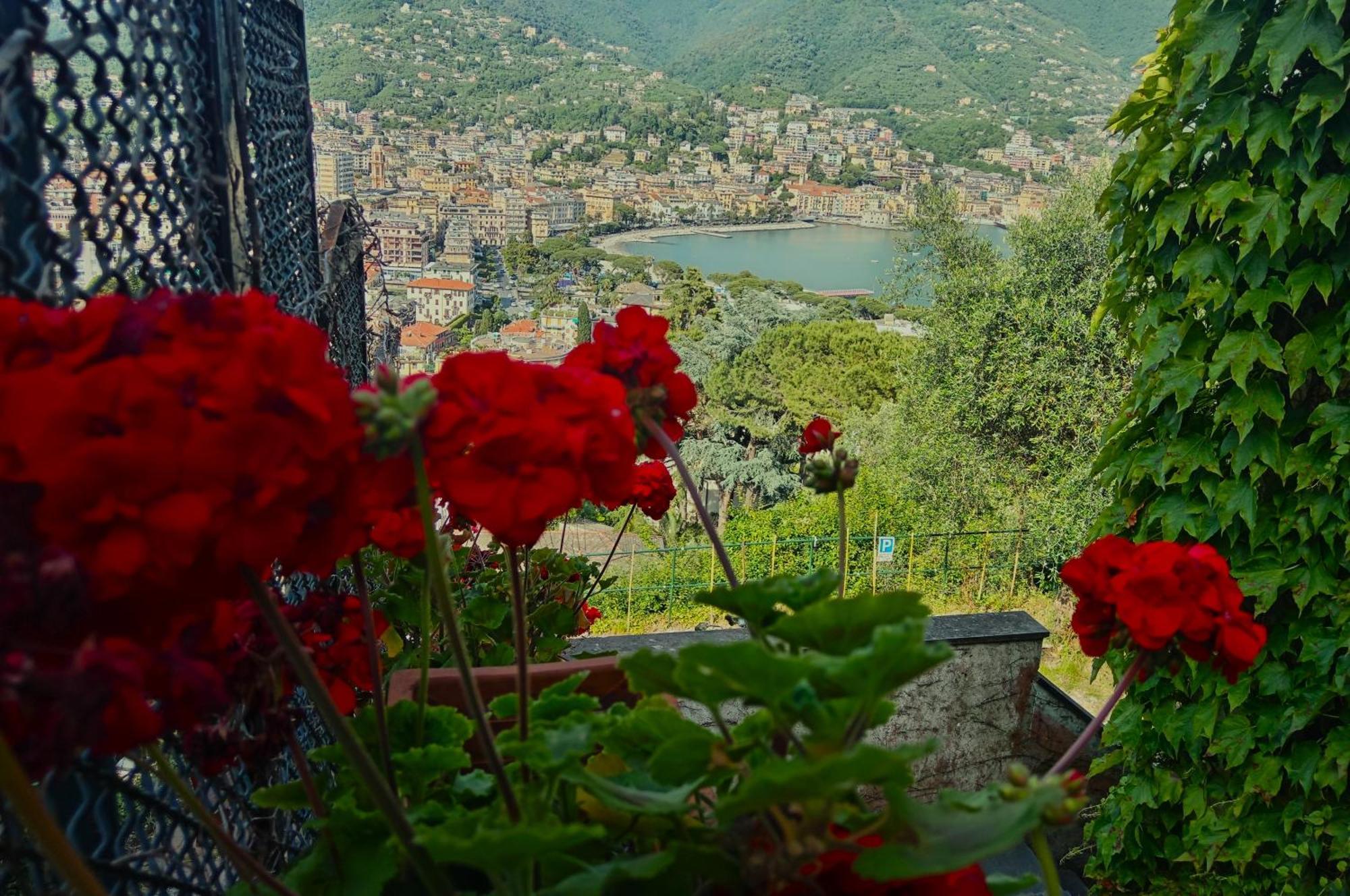 Sunrise Villa Rapallo Exterior foto